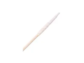 20050 CHEMTRONICS Coventry Foam Swab Bag