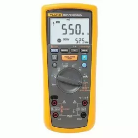 4692740 FLUKE Wwg Insulation Multimeter Megaohm Gigohm Cat