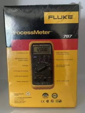 691163312385 FLUKE Processmeter