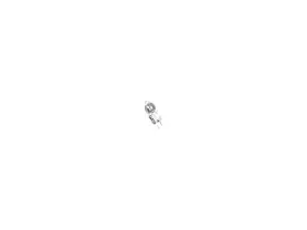 18900341 SCILOGEX Halogen Lamp