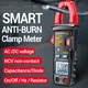 ANENG Digital Clamp Meter AC DC Current Multimeter Ammeter Voltage Tester ST183