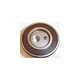 Pumptec 0100-6205-0190 KIT-C Fixes 348 356u 357 360 AP48 Pumps .190 CAM Bearing