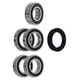 NICHE Wheel Bearing Seal Kit for Honda VTX1300C CR CS CT CX ABS Fury 6205-2RS