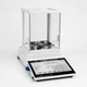 Radwag&reg; ELLIPSIS&trade; AS 120.5Y Analytical Balance, 120g x 0.01mg, WL-104-0528