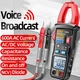 ANENG AT619 Digital Voice Broadcast Multimeter Professional AC/DC Clamp Meter US