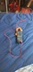 Klein Tools CL120 Digital Multimeter (Fully Functional) (Tested)