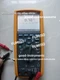 Fluke 287 True RMS Electronics Logging Multimeter*go
