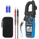 Digital Clamp Meter Multimeter - TEMIRUP Auto-ranging 6000 Counts Amp Voltage...